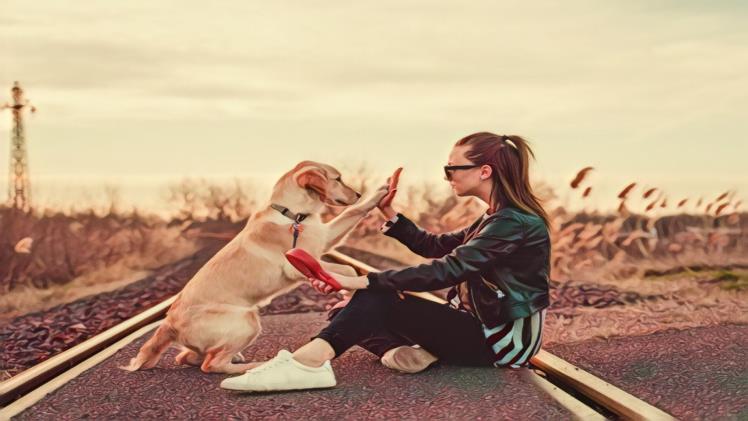 Dog obedience training in Orem can help create a harmonious relationship between pet owners and their furry friends. Learn more about it here!